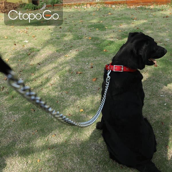 Anti-Bite Metal Dog Leash with PU Leather Handle for Small Medium Large Dogs, 180cm