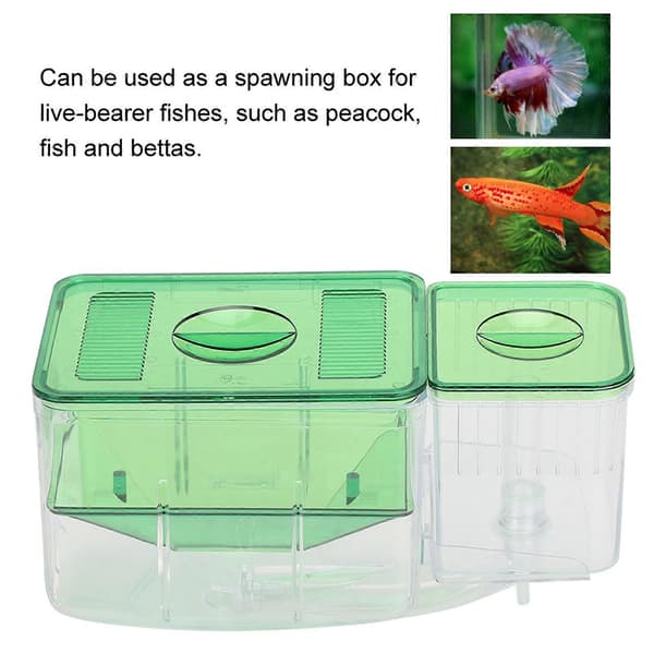 Double-Layer Aquarium Fish Breeding Box Isolation Incubator for Injured Small Fish Shrimp