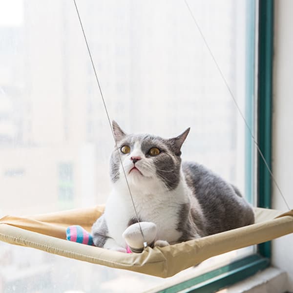 Window Mounted Pet Bed Suction Cup Hanging Sunshine Hammock Perch Cushion For Cat