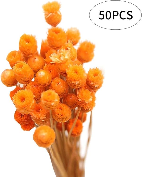 Orange - Kunstige blomster, tørret buket naturlig buket tørrede