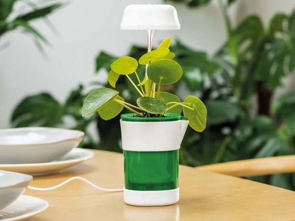 Plant Growth Panel Lamp 6 LED 4 UV Self-Watering Pot 264