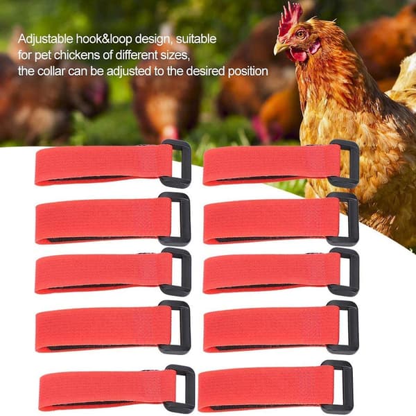 4-pack No Crow Rooster Collars, Silent Rooster Collar, Neckband for Roosters, Farm Rooster Accessories