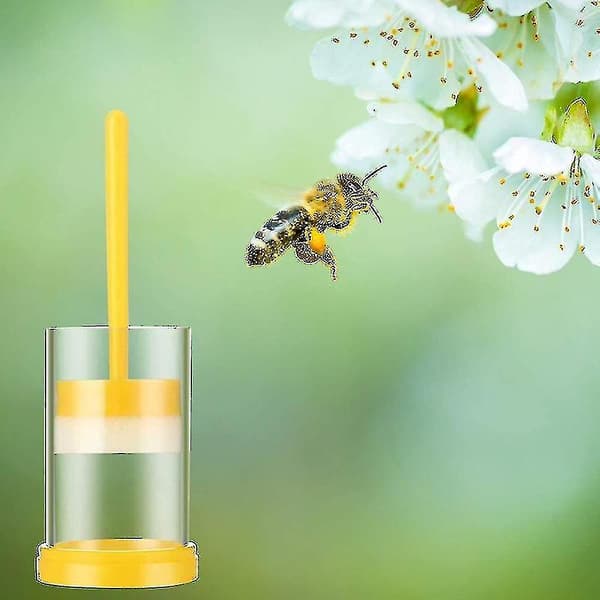 Queen Bee Marking Kit, 2 Queen Marking Cage Tubes with 3 Bee Marking Pens for Beekeeping Tools-hy