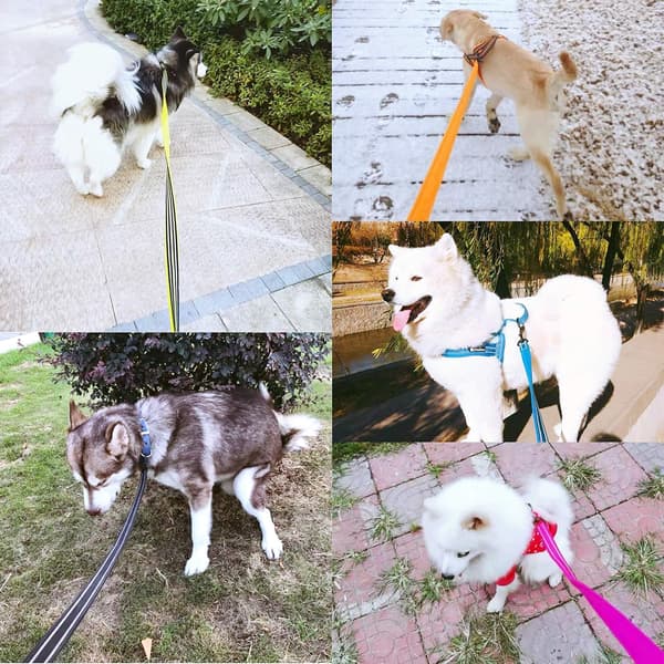 Reflekterende hundesnor Grøn Grøn L Grøn L Grön L