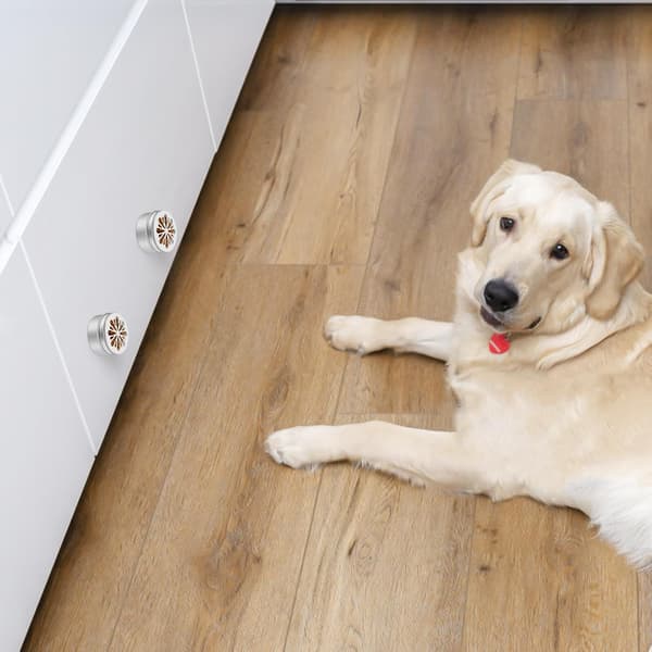 Hundars doftträningslådor i aluminium med prickar 12 st -
