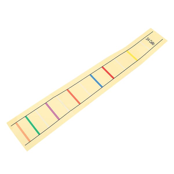 Practical Fretboard Label Sticker Finger Position Marker for Cello Practice Beginner (3/4)