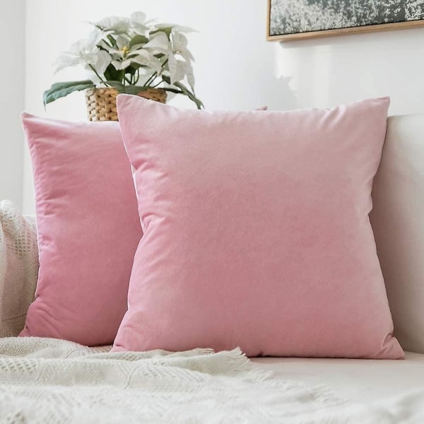 Sæt med 2 Pudebetræk i Sammet Dekorativ Sofa Case Super Blød Blød Indretning Hjem Stue Soveværelse Til Sofa 2 Dele 30x30cm Lyseblå