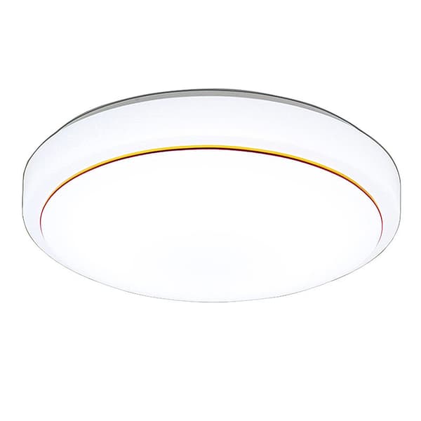 LED Ceiling Light 220V 110V Modern Ceiling Lighting Living Room Bedroom Cool Neutral White Light (20cm White Light 18w)