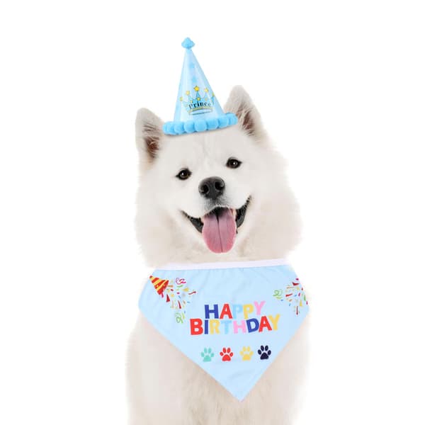 Festutstyr til hunde-bursdag, bursdagshodeplagg til kjæledyr og bursdagsbandana til hund (4-pakning)