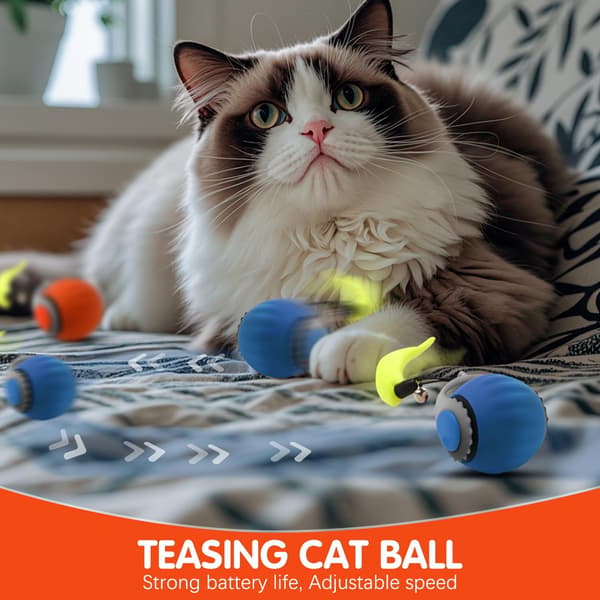 Interactive Cat Toy Automatic Rolling Ball with Tail Two Speed Adjustments Enriching Play Orange Blue