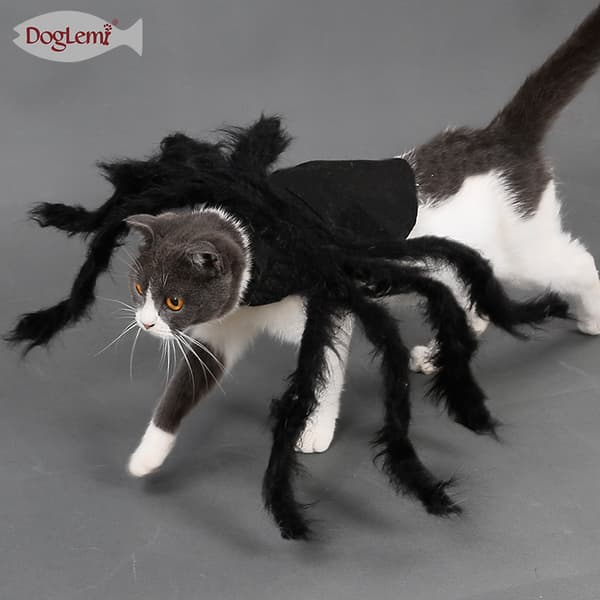 Halloween Dekoration Kæledyrstøj Edderkop Hvalp Kat Rædsel