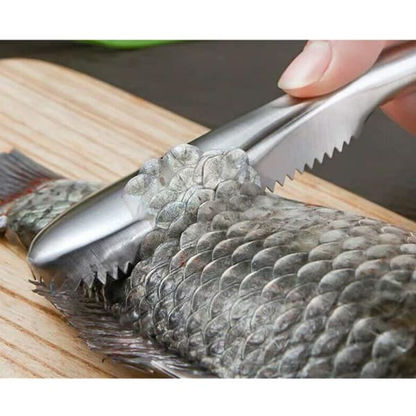 Sett med 2 fiskeskrapere med sagtann i rustfritt stål, fisk B B