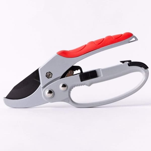 Garden shears pruning shears fruit tree tools scissors scissors b