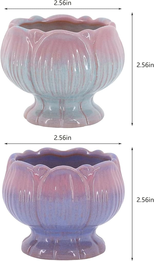 Creative Ceramic Succulent Pots, Perfect for Potted Plants and Home Decor, Set of 2