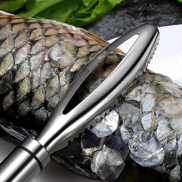 Fish Scaler Brush Fish Scraper Remover With Stainless Steel Serrated (1pc, Silver) yu