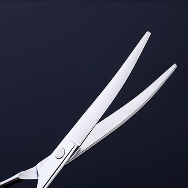 Dog Scissor Set with Trimming Scissors, Thinning Scissors, Curved Scissors and Comb Silver Silver