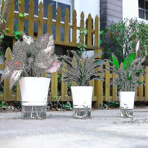 Self-watering flower pot, hexagonal transparent base self-watering new 2024 high quality x. (Small)