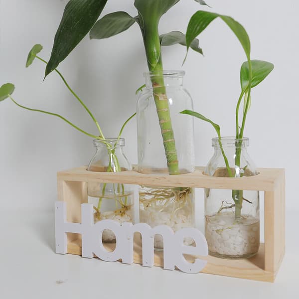Liten Frisk Transparent Glassvase Hydroponisk Grønn Plantebeholder Soverom Kontorborddekorasjonspynt