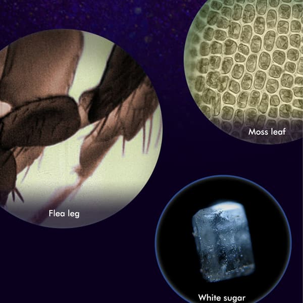 Portable Microscope for Kids Pocket Microscope Science Toys Educational Microscope Kit for Children Birthday Christmas Gift