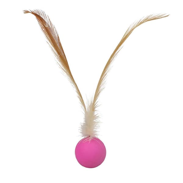 Hundelegetøjsbolde Killing Fjer Gummibold Hoppebolde Orange, Grøn, Pink