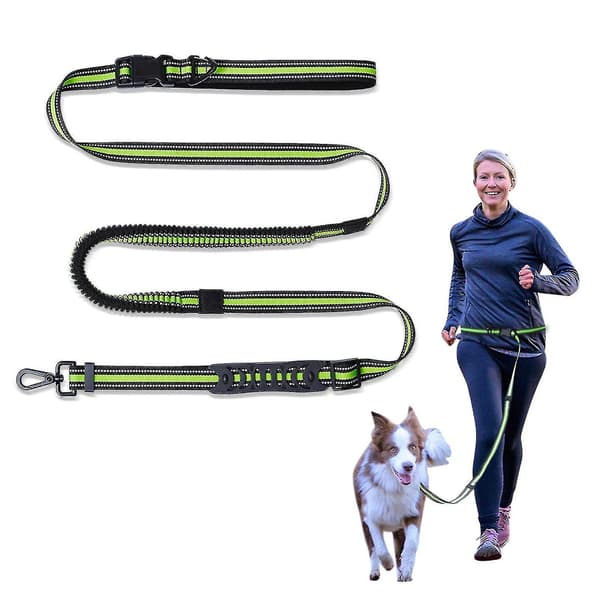Handsfree hundkoppel infällbart reflekterande midjehundkoppel för löpning promenader