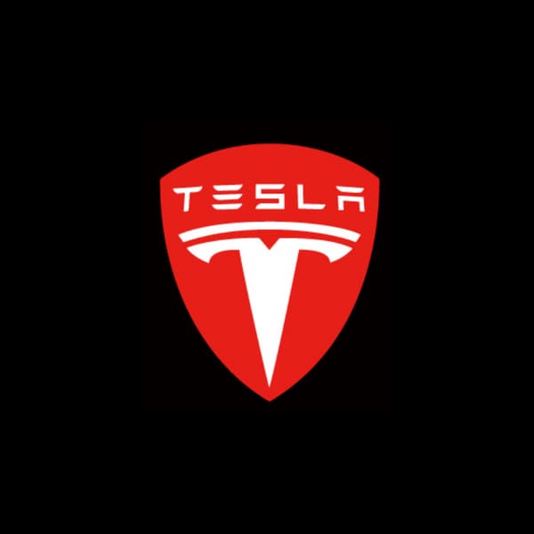 2 stk Tesla MODEL-S/3/X/Y full serie dør laserprojeksjon gatelys