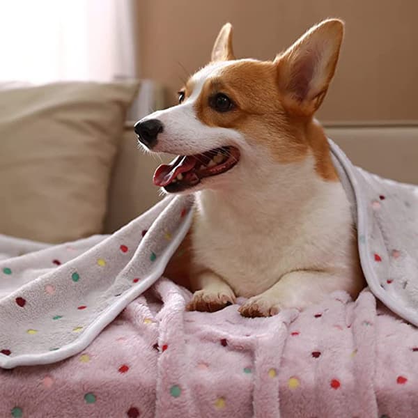 (40*60cm) Superblødt plys hund/kat tæppe 3 stk
