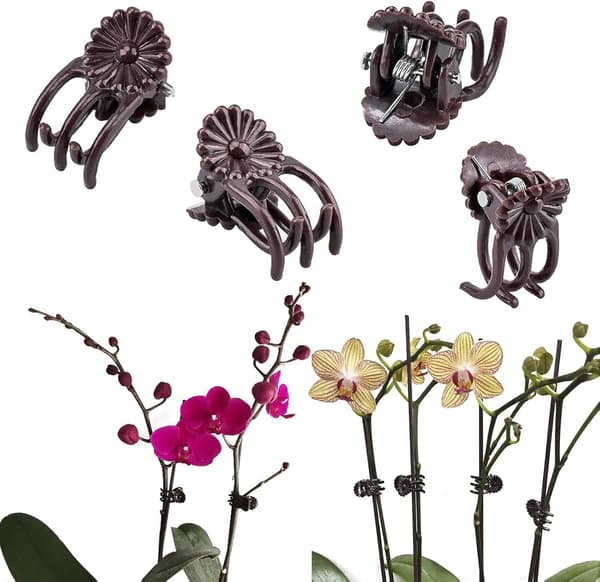 24 stk. orkideklips orkideklips plante vinklips orkide plante klips rette