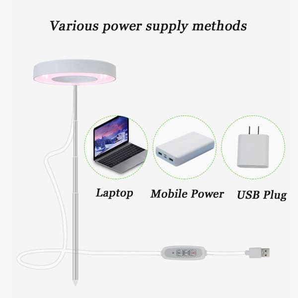 Plant lamp / plant lighting, adjustable height, Lamp for plants with on/off timer (2/4/8 hours) - suitable for small plants & indoor plants