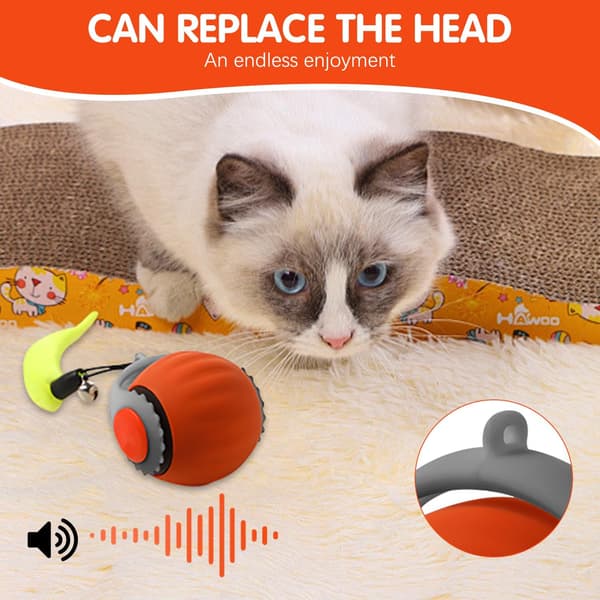Interactive Cat Toy Automatic Rolling Ball with Tail Two Speed Adjustments Enriching Play Orange Blue