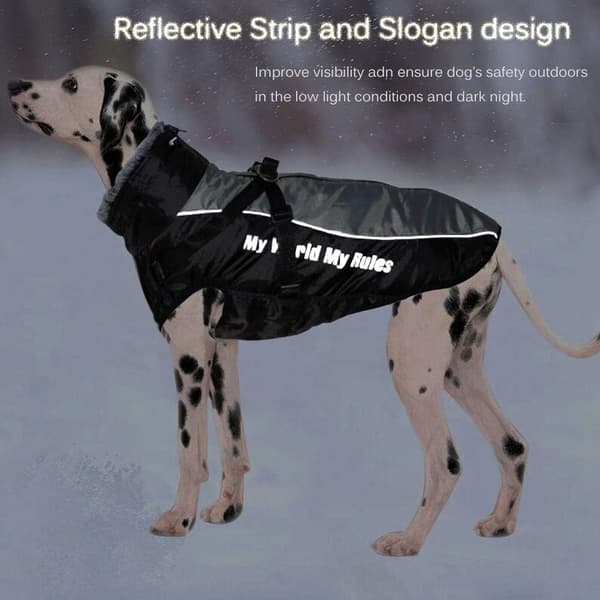 Vinterjakke til hund, varm, vandtæt, reflekterende, justerbar, blød, XL, grå