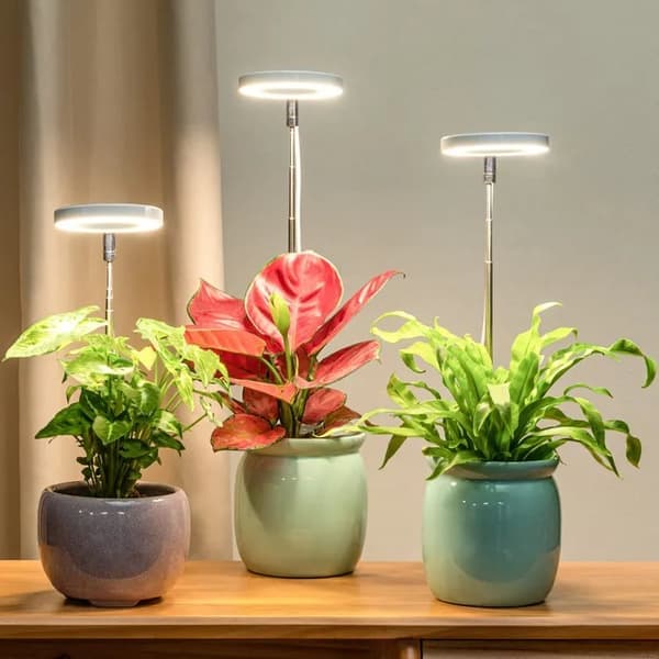 Plantlys / plantebelysning, justerbar høyde, Lampe for planter med på/av-timer (2/4/8 timer) - egnet for små planter og innendørsplanter