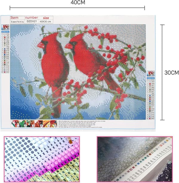 DIY 5d Diamantmalingssæt til voksne Fuld borekardinal Diamo