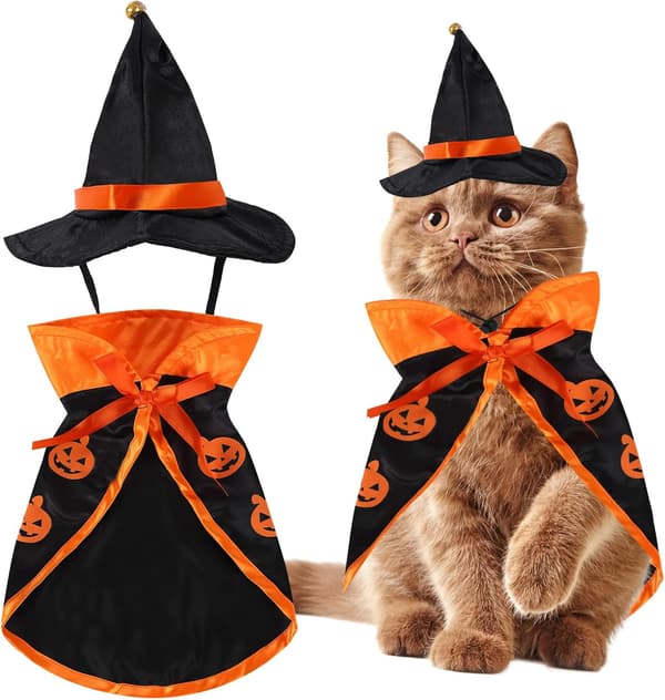 Halloween Dyrekostumer Troldmandskostumer til Katte Sjov Troldmand C