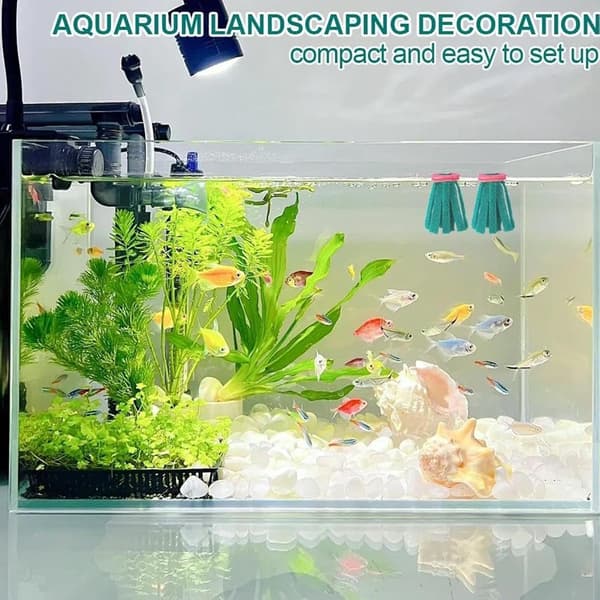Mop De Ponte akvarium 10 stk beskyttelse yngel egg samlere -