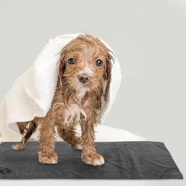 Absorberende kæledyrsbadehåndklæde af blød mikrofiber, stort tørreklæde til hunde, hurtigtørrende, holdbart til pelspleje af hunde og katte