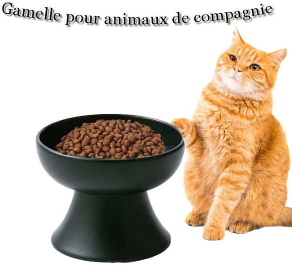 Ceramic Pet Bowl - Cat Bowl with High Legs - Protects Cervical Vertebrae - Pink Ceramic Cat Bowl