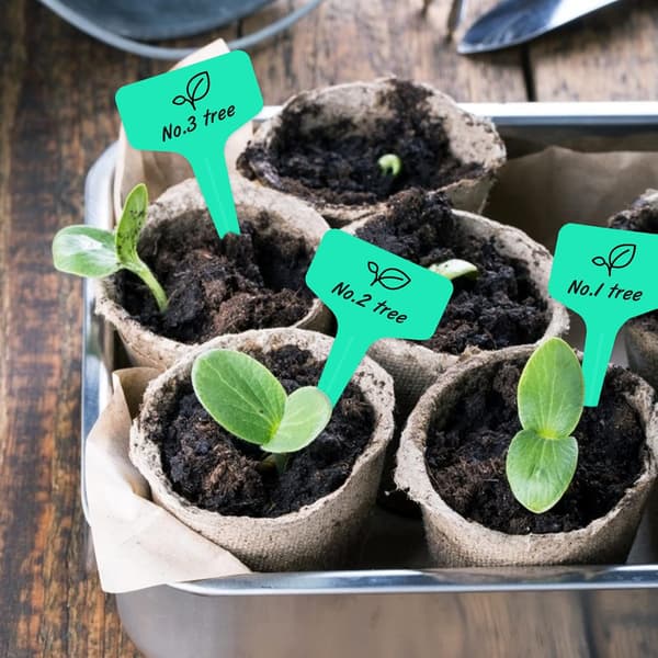 Plastic Plant Labels, 100-pack, Green, 6 x 10 cm