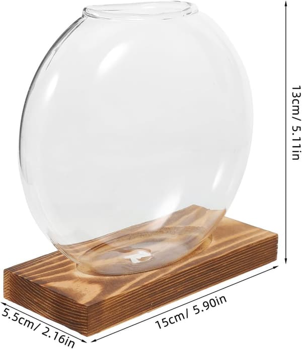 Hydroponikvas av glas med träbas, transparent för växter