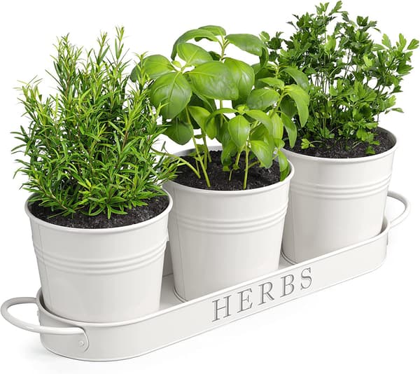 Rustic Style Flower Pots, Herb Garden Kit with Tray, Window Boxes for Indoor Plants (White)