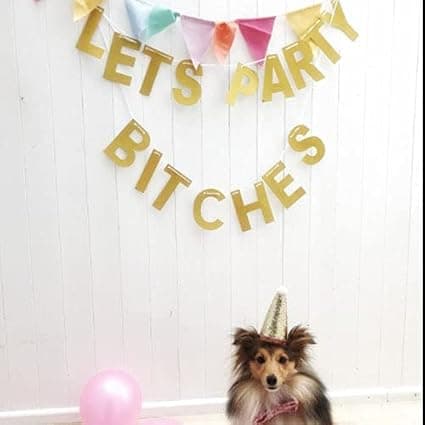 4 stk LET'S PARTY BITCHES Girlander, Glitter Papirbannere for Festdekorasjon