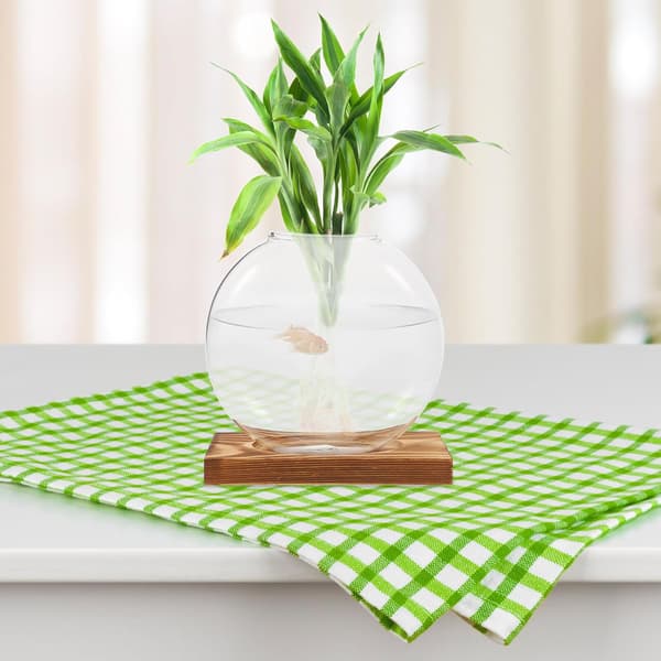 Hydroponikvas av glas med träbas, transparent för växter