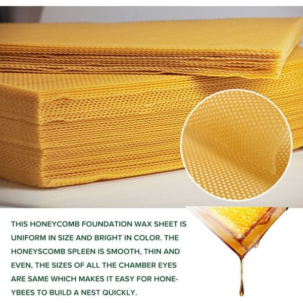 50 Pieces Beekeeping Series Beehive Honeycomb Foundation Frame Garden Beehive Beekeeping Tool