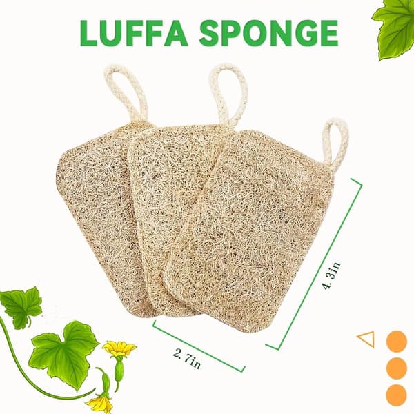 Organic Loofah Sponge, 6 Pieces, Biodegradable, Compostable, for Kitchen, Bathroom, Shower, Camping