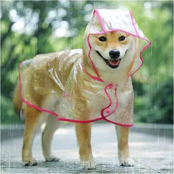 Hunderegnfrakke, regnponcho til små og mellemstore hunde, transparent