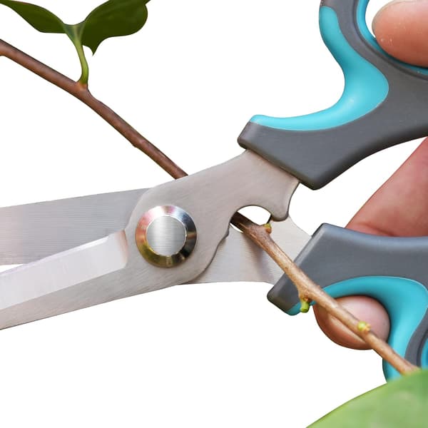 Ultralette og holdbare urtesakse i rustfrit stål med ergonomisk design og kirurgisk rustfrit stål til bred anvendelse