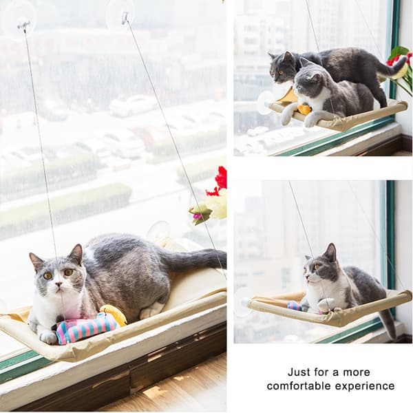 Window Mounted Pet Bed Suction Cup Hanging Sunshine Hammock Perch Cushion For Cat