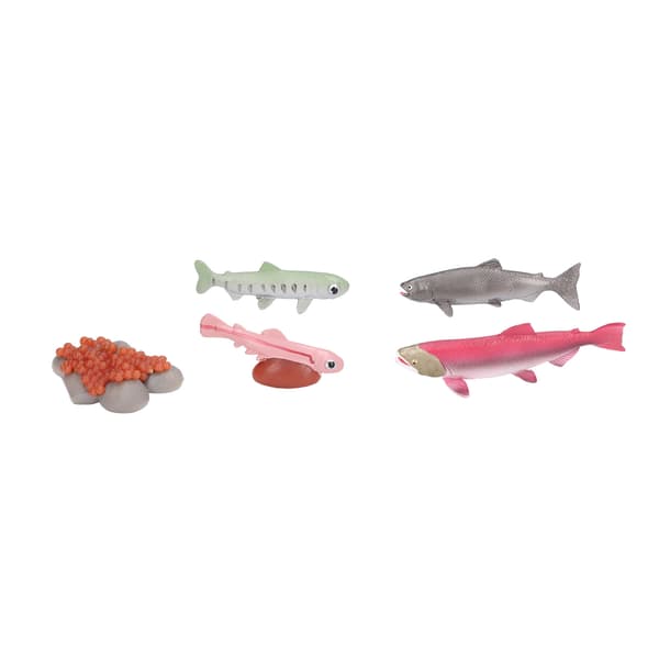 Growth Cycle Model Vinyl Material Safe Odorless Vivid Real Salmon Wildlife Cycle Model for Over 3 Years Old