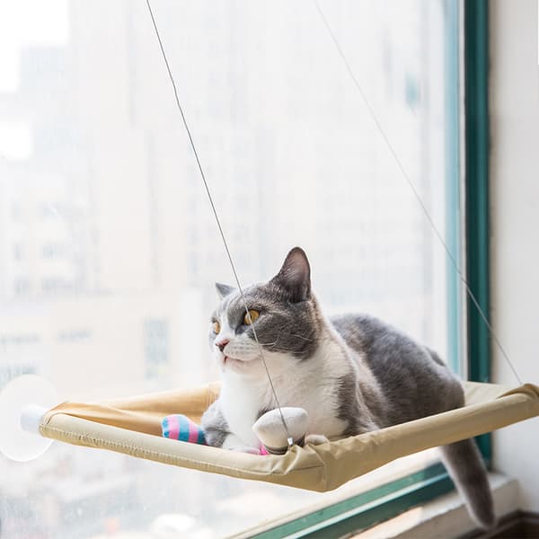Window Mounted Pet Bed Suction Cup Hanging Sunshine Hammock Perch Cushion For Cat