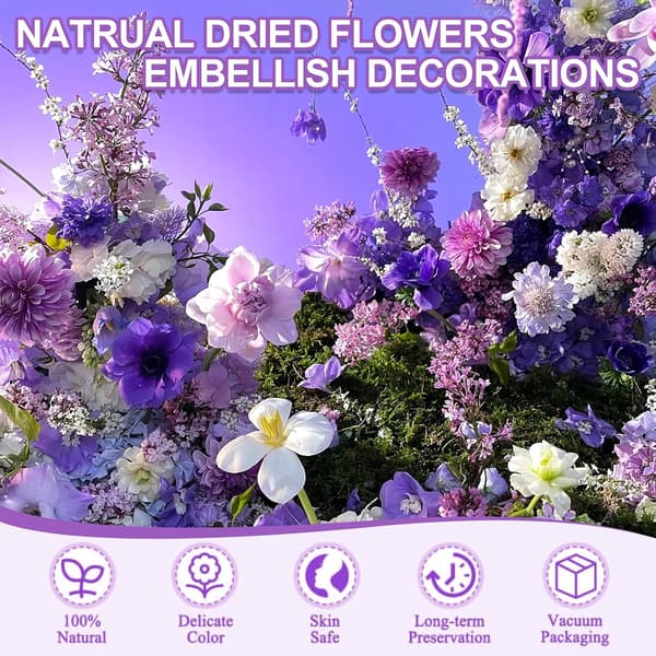 81 stykker tørrede blomster, naturlige tørrede blomster, blandede pressede tørrede blomster, små farverige pressede blomster